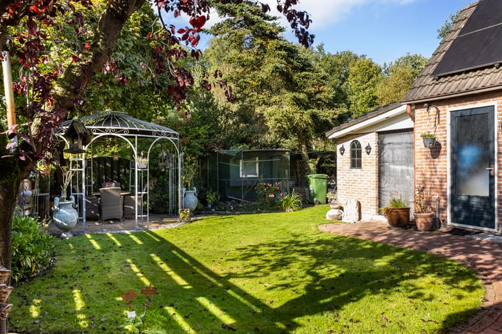 Foto 9 van Wollegras 7