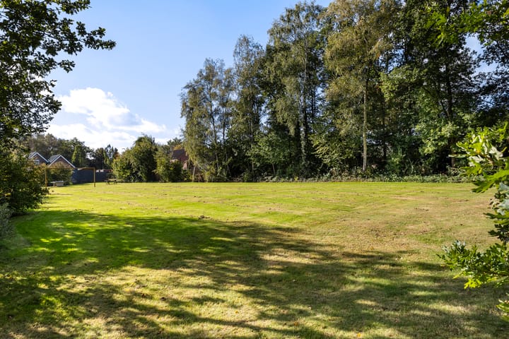 Foto 12 van Wollegras 7