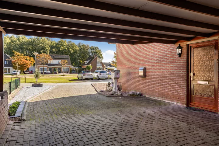 Foto 13 van Wollegras 7