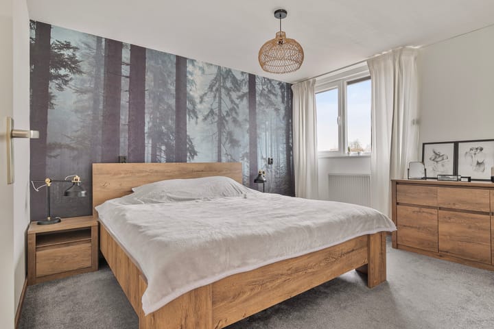 Foto 15 van Hondsrug 6