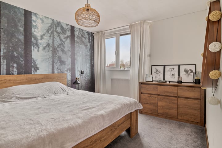 Foto 16 van Hondsrug 6