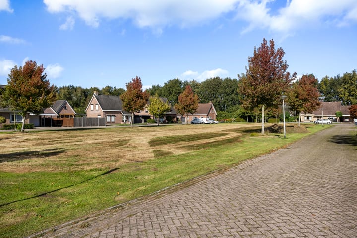 Foto 38 van Wollegras 7