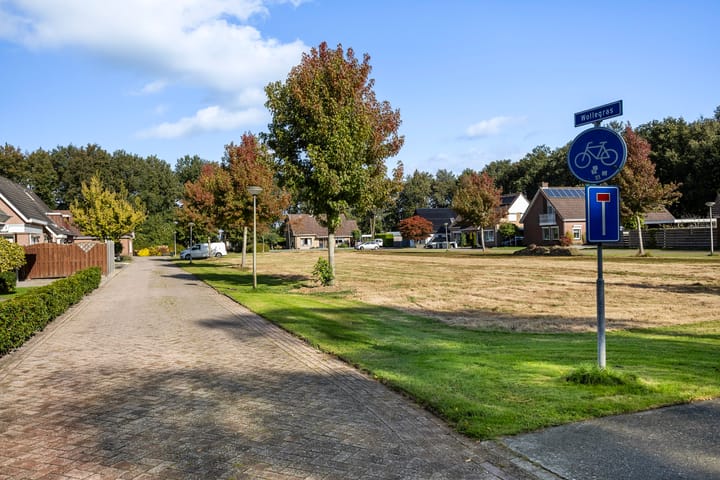 Foto 39 van Wollegras 7