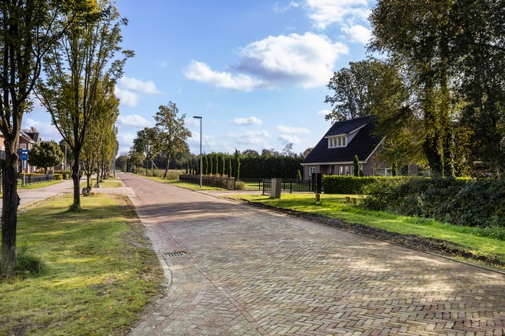 Foto 41 van Wollegras 7