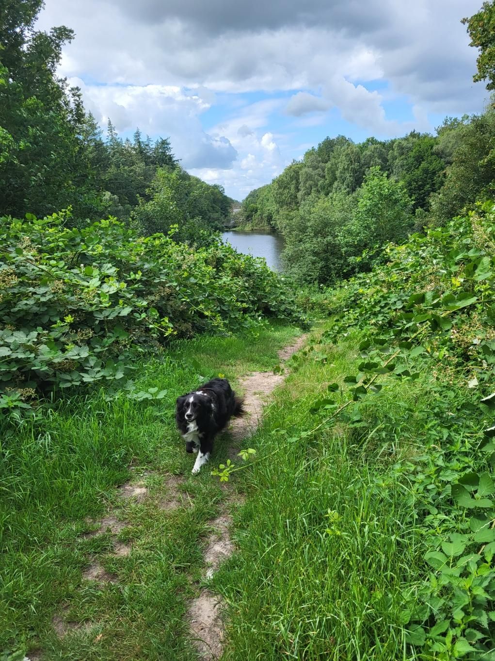 Foto 21 van Kuinderweg 52