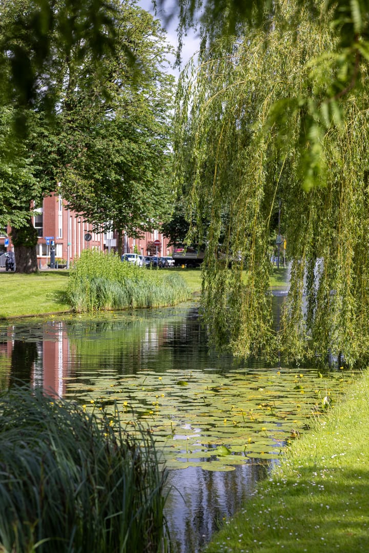 Foto 39 van Bergsingel 37-C