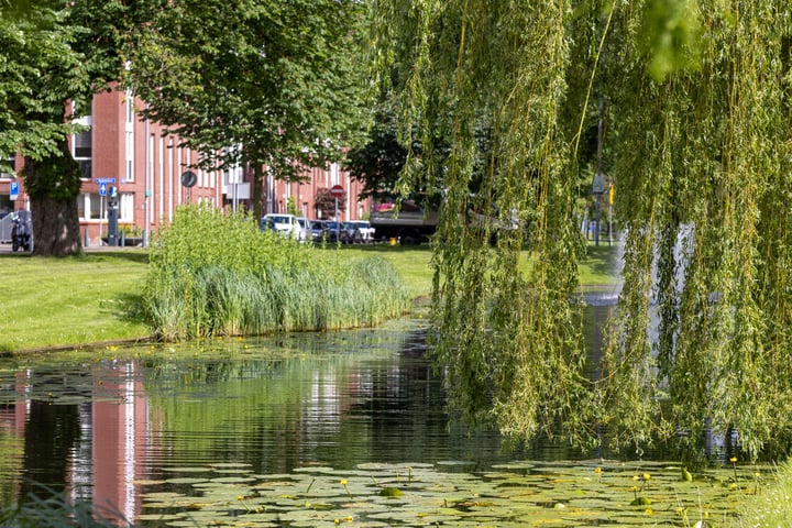 Bekijk foto 39 van Bergsingel 37-C