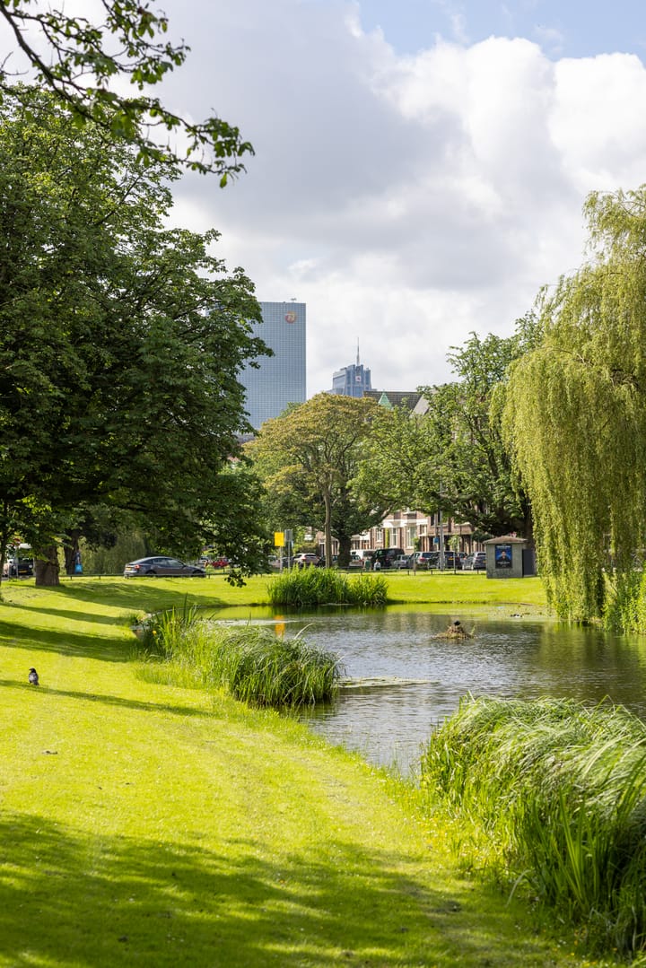 Foto 40 van Bergsingel 37-C