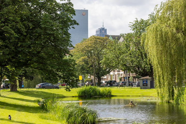 Bekijk foto 40 van Bergsingel 37-C