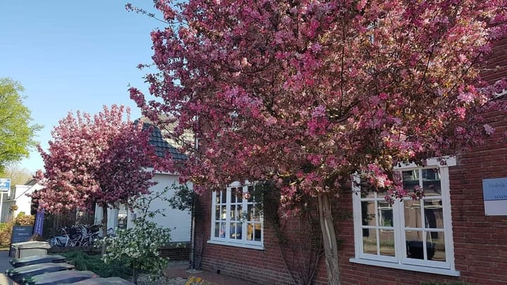 Foto 49 van Molenstraat 22