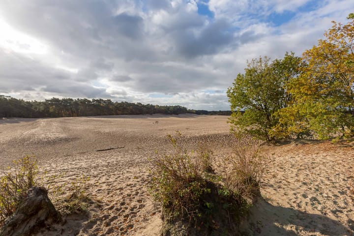 Foto 72 van Bosstraat 78