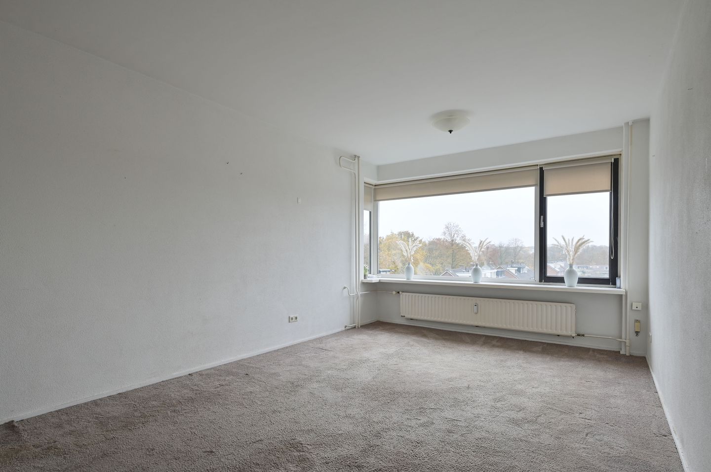 Photo 5 of Phohistraat 58