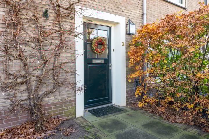 Foto 3 van Engelsjan 3