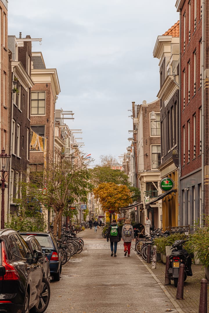 Photo 21 of Utrechtsedwarsstraat 45-1