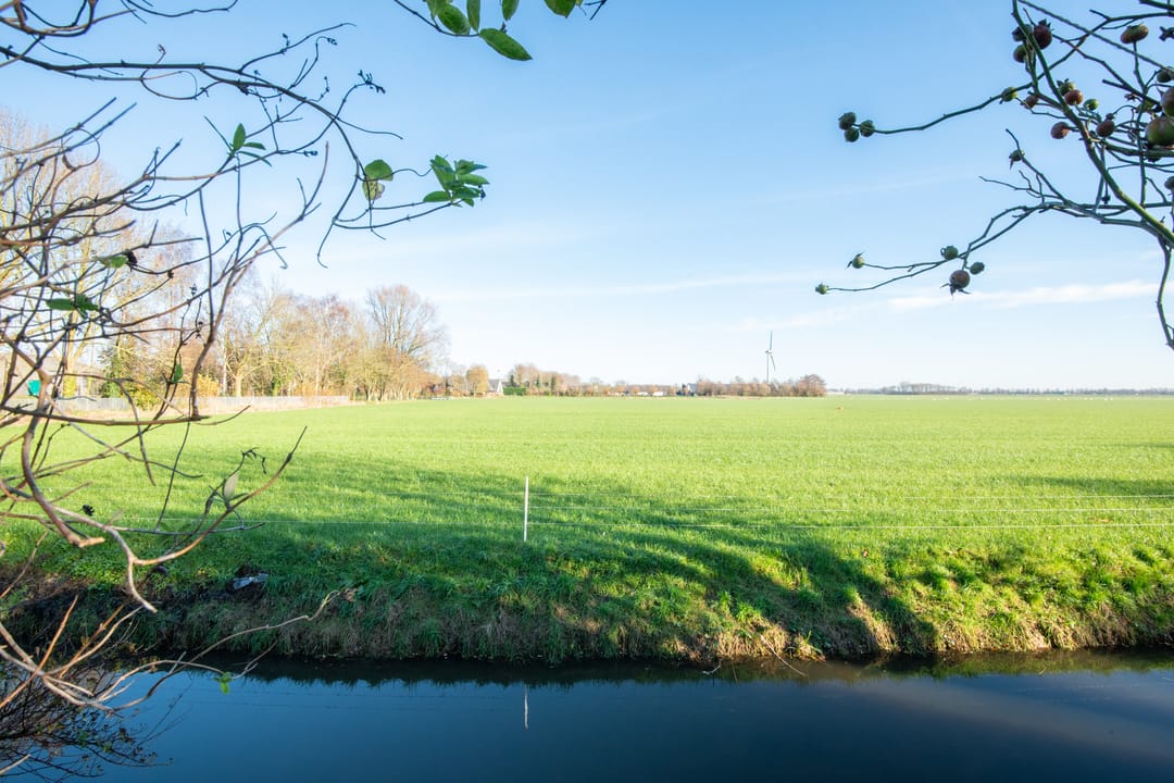 Photo 31 of Zuiderweg 5