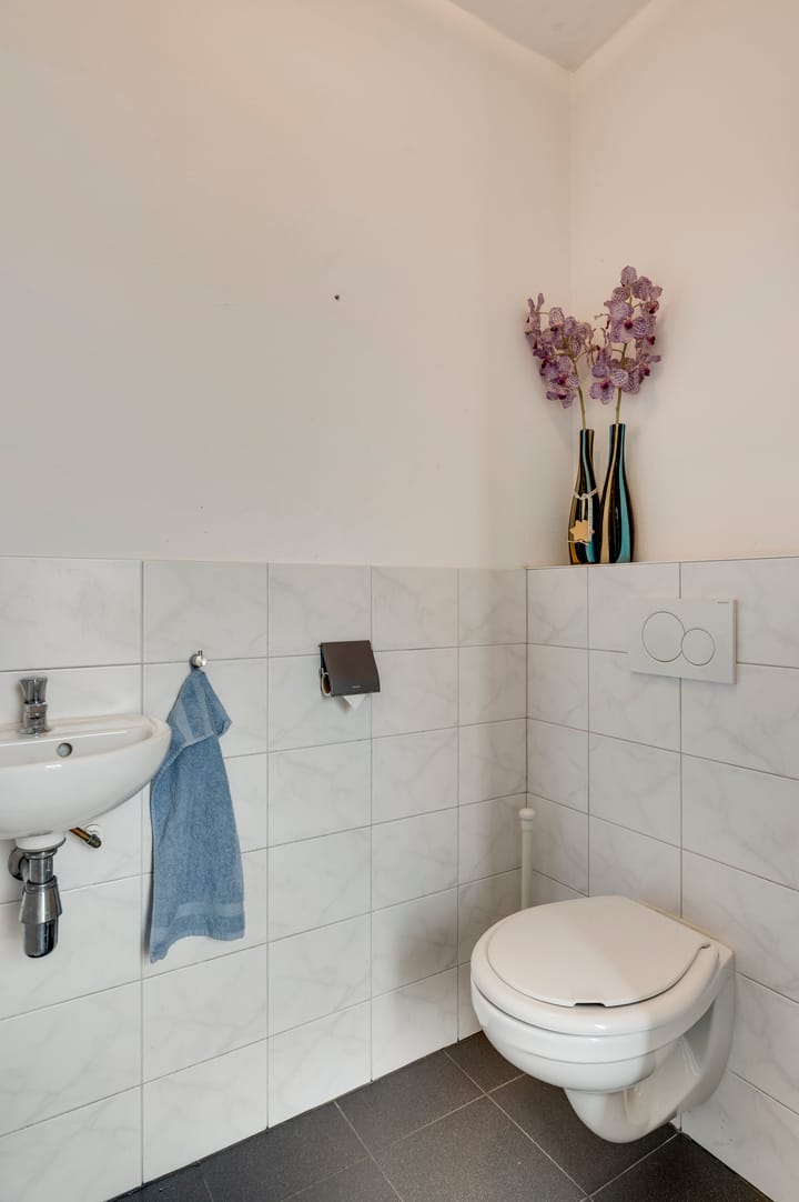 Foto 14 van Bonte Beer 24