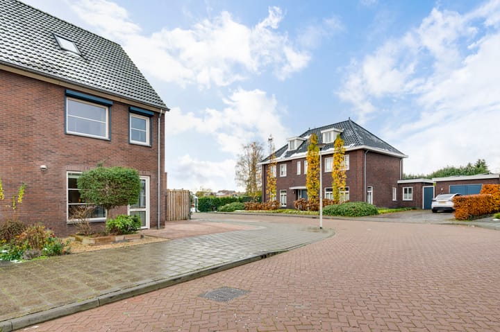 Foto 34 van Bonte Beer 24