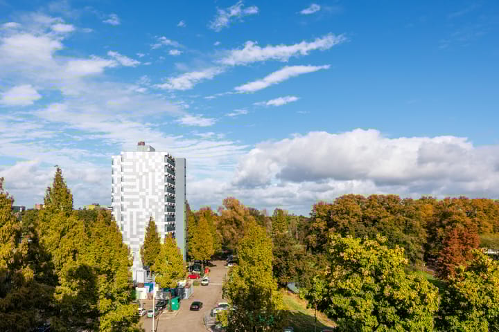 Foto 4 van Lankforst 5654