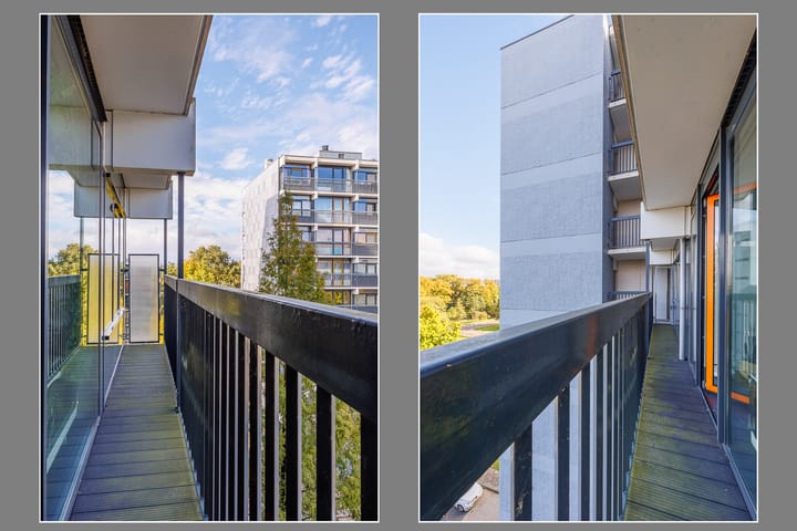 Foto 7 van Lankforst 5654