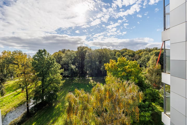 Foto 21 van Lankforst 5654