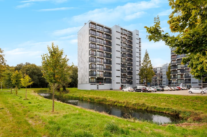 Foto 29 van Lankforst 5654