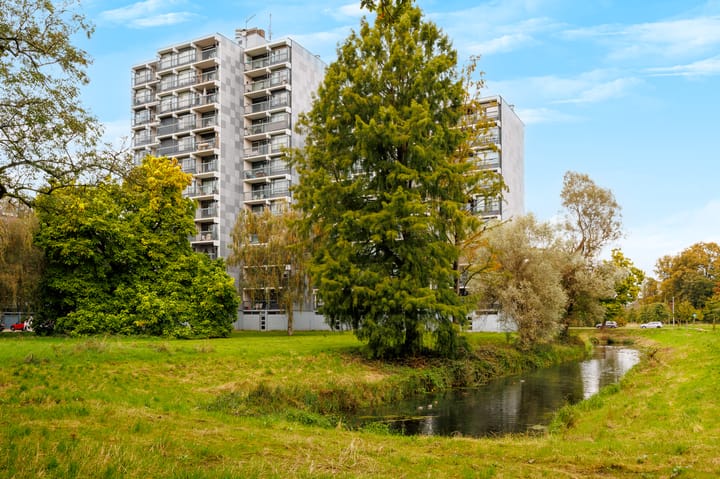 Foto 32 van Lankforst 5654