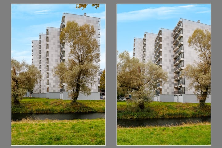 Foto 34 van Lankforst 5654