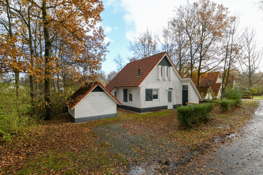 Photo 2 of De Rug 3-203