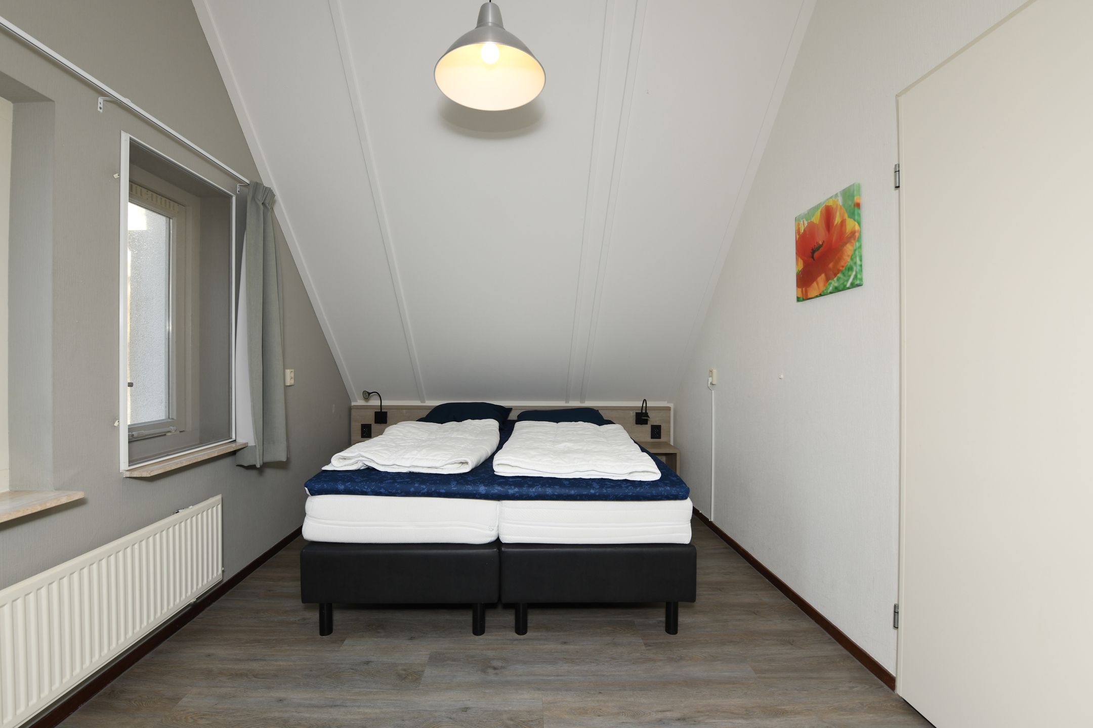 Photo 15 of De Rug 3-203