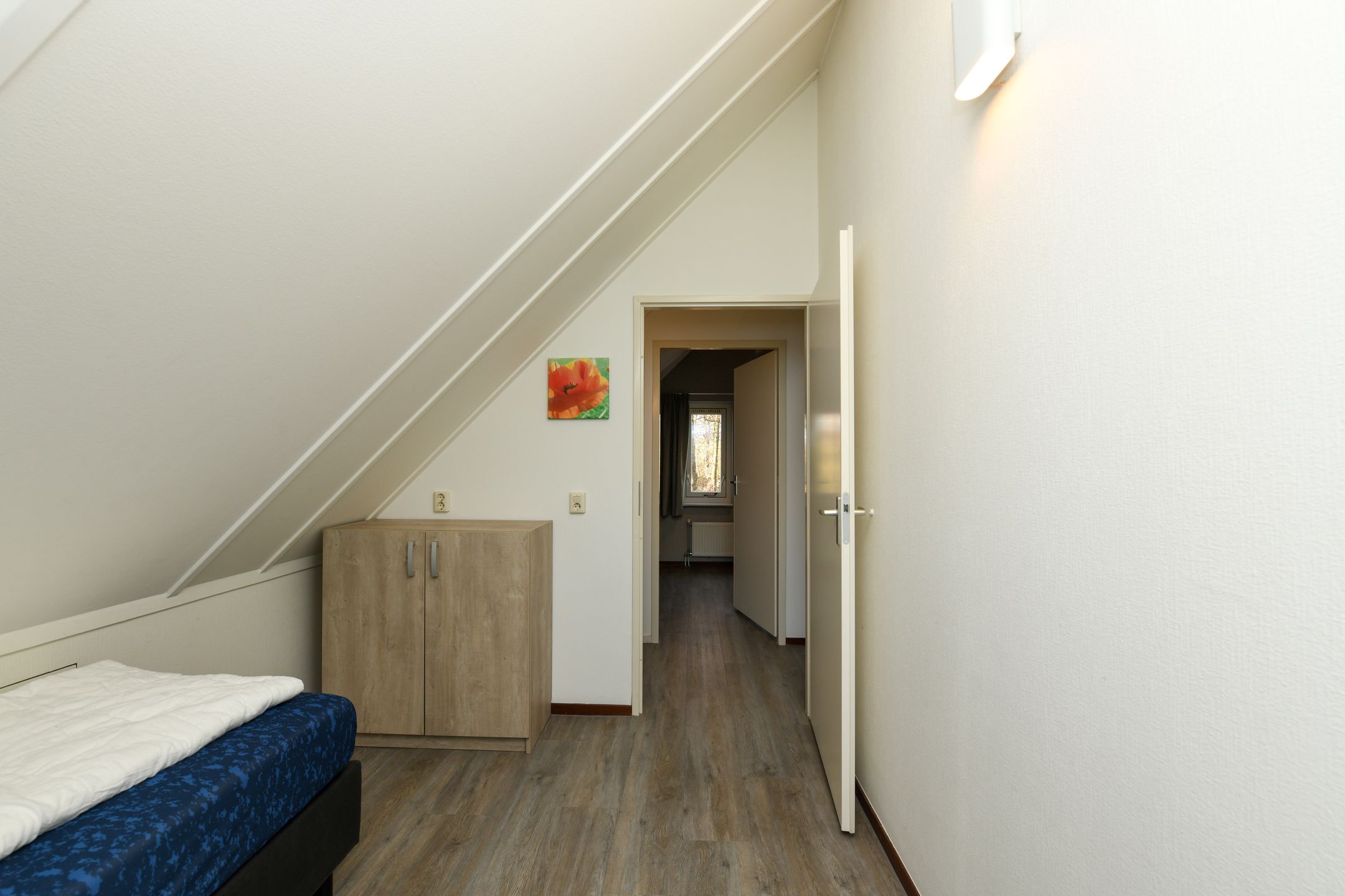 Photo 18 of De Rug 3-203