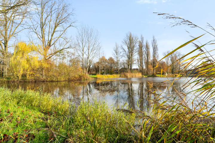 Foto 35 van Minckelersstraat 38