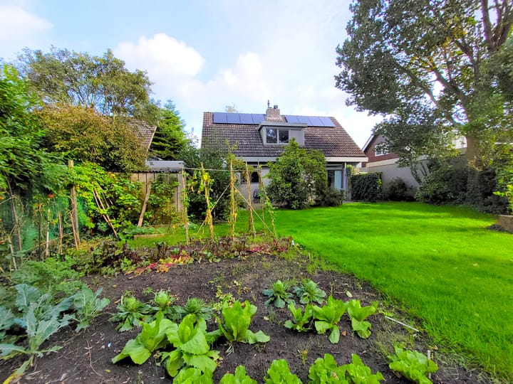 Foto 2 van Ibislaan 21