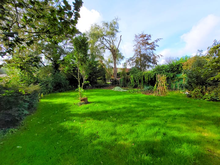 Foto 23 van Ibislaan 21