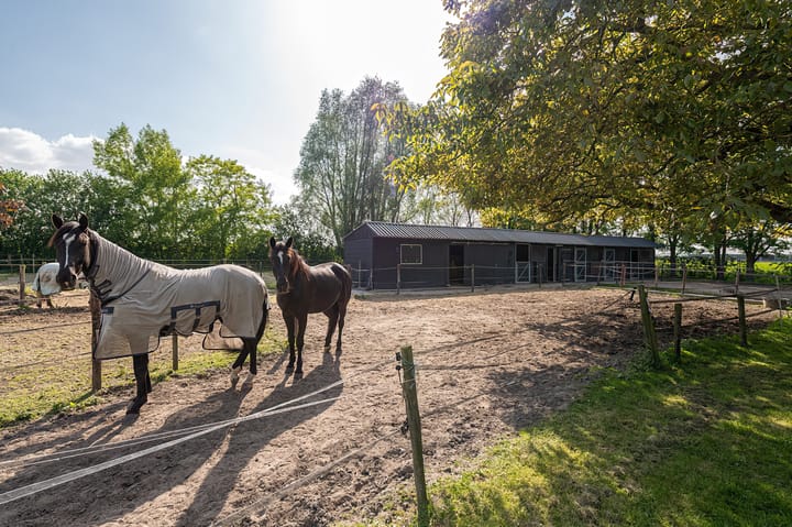 Foto 8 van Aalsdijk 6