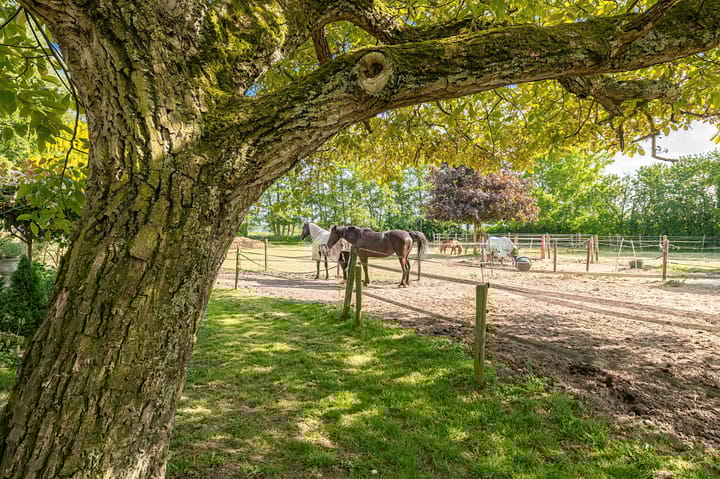 Foto 32 van Aalsdijk 6