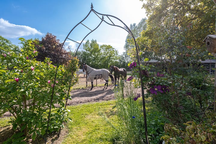 Foto 33 van Aalsdijk 6