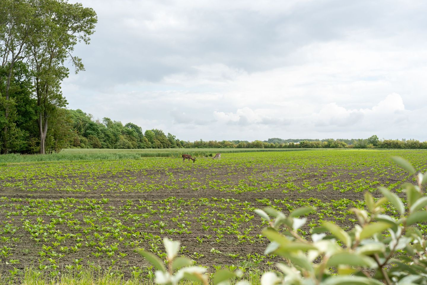 Foto 10 van Dr. Joh. G. Mezgerweg 2