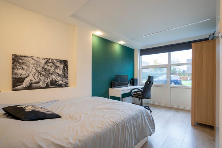 Photo 7 of Lunette 6