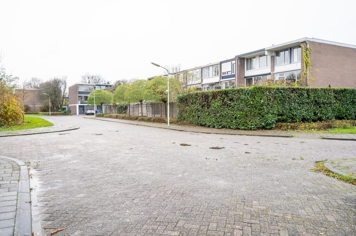 Photo 34 of Lunette 6