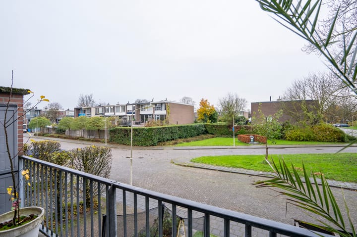 Photo 35 of Lunette 6