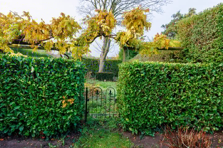 Foto 43 van Dr.Nolensstraat 3