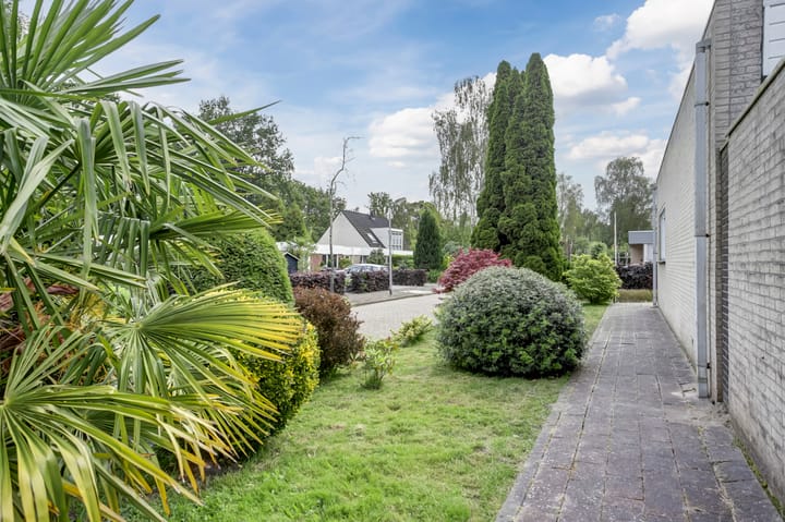 Foto 10 van Reigerpark 2