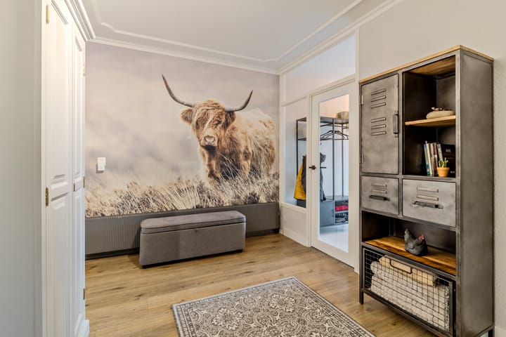 Foto 15 van Troelstrastraat 77