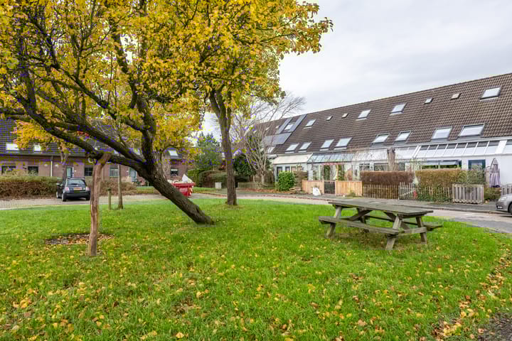 Foto 1 van Nijensteinheerd 239