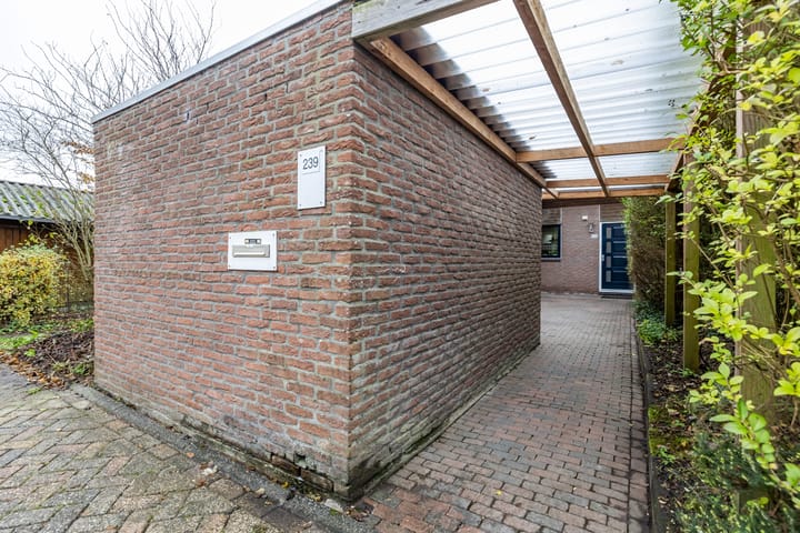 Foto 5 van Nijensteinheerd 239