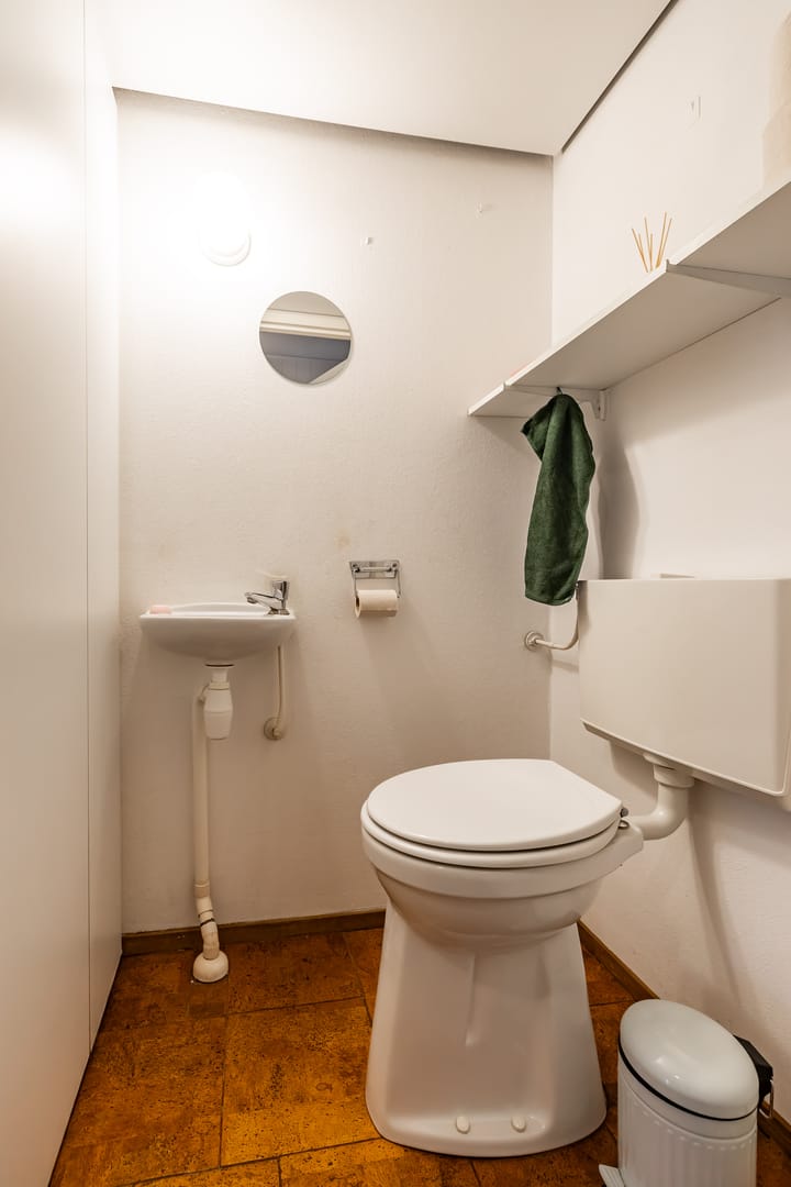 Foto 10 van Nijensteinheerd 239