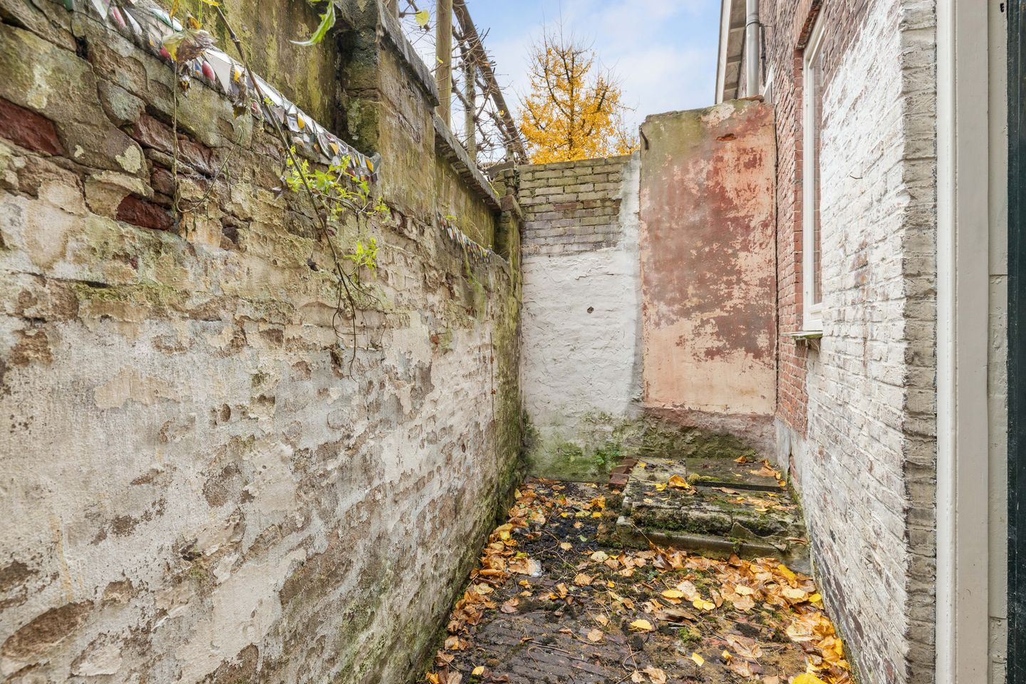 Foto 34 van Mariastraat 4