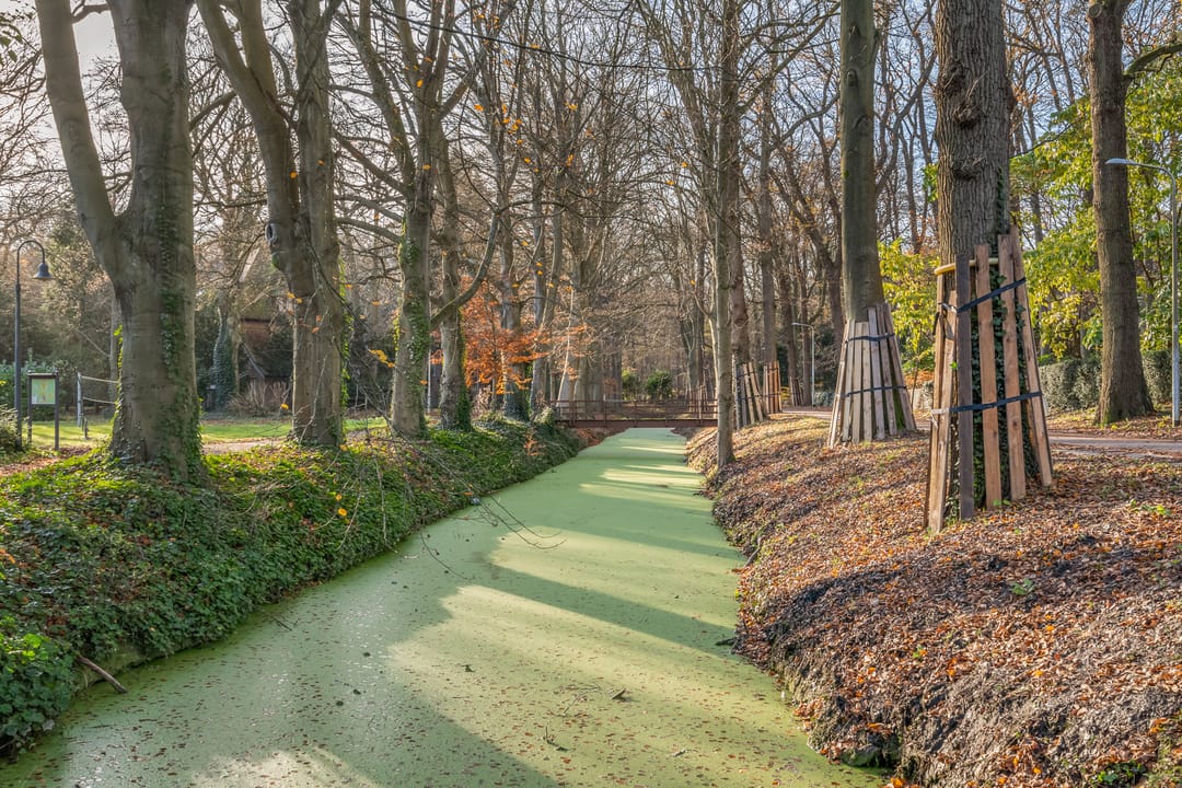 Foto 68 van Laan van Rhemen van Rhemenshuizen 10