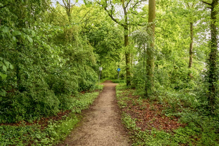 Bekijk foto 42 van Zonnedauw 9