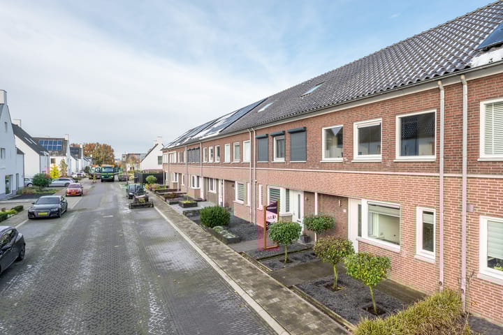 Foto 2 van Pattagon 38